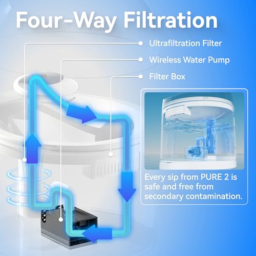 Pure 2 Cat Water Fountain with Wireless Pump