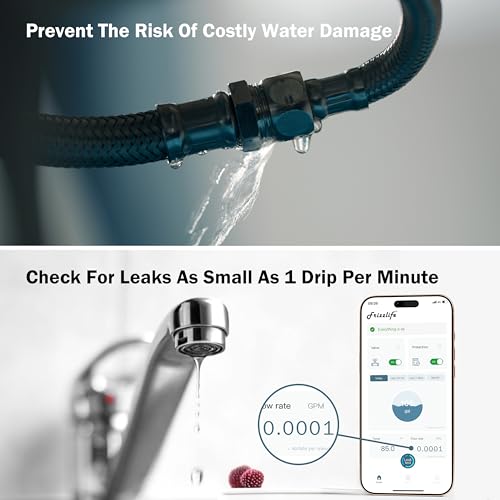 LP365 Smart Water Monitor and Automatic Shutoff