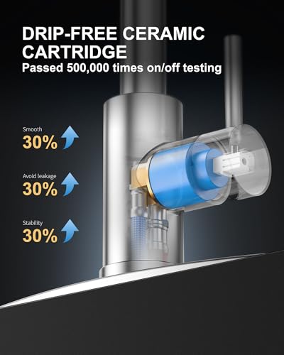 Kitchen Faucet and Water Filter Faucet
