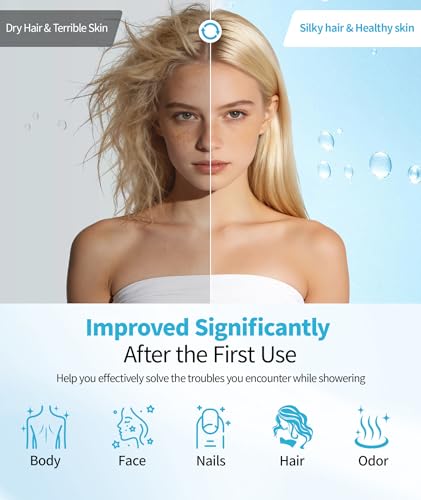 Filtered Shower Head with Handheld