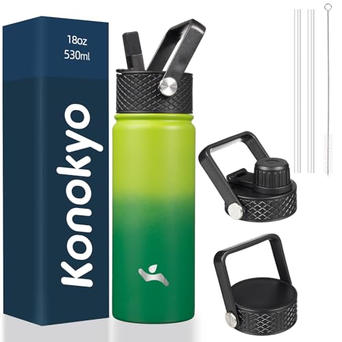 18 oz Insulated Stainless Steel Water Bottle with Straw Lid