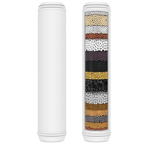 Shower Filter Replacement for Handheld Shower Head (2 Count)