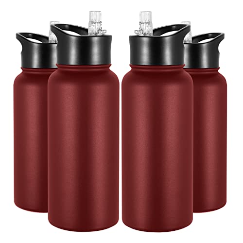 32 oz Insulated Water Bottle Bulk 4 Pack