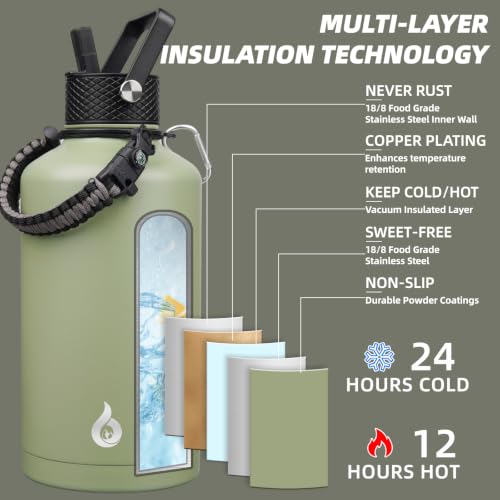 87oz Insulated Water Bottle with Straw Lid Stainless Steel Water Jug
