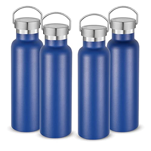 20 oz Insulated Water Bottles Bulk 4 Pack (4 Count)