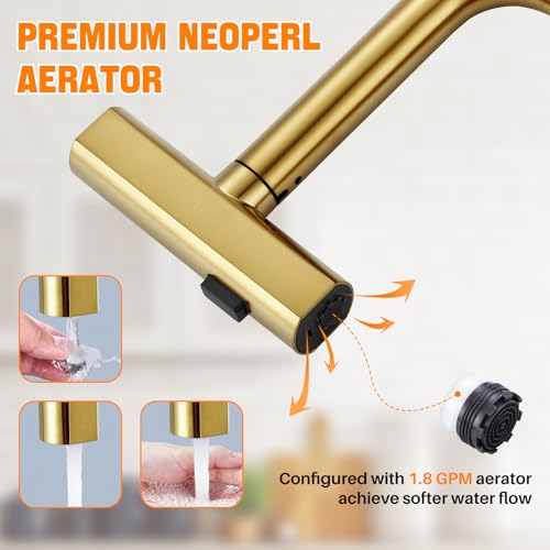 Kitchen Faucet with Pull Down Sprayer