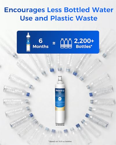 Plus Water Filter (2 Count)
