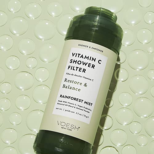 Vitamin C Shower Filter (2 Count)