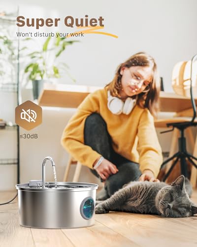 Stainless Steel Cat Fountain