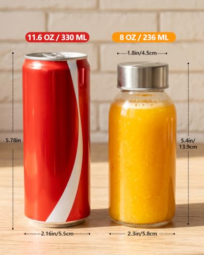 8 oz Small Glass Juice Bottles with Stainless Steel Lids Leak Proof (10 Count)