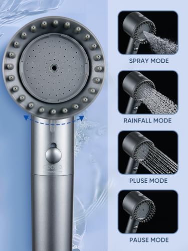 Filtered Shower Head with Handheld