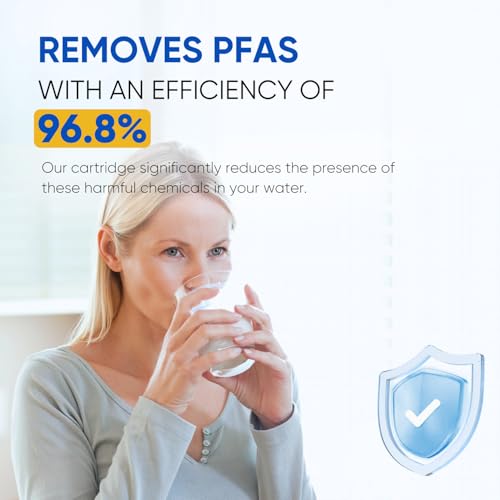 4396508 NSF 401 & 53 & 42 Certified Refrigerator Water Filter (2 Count)