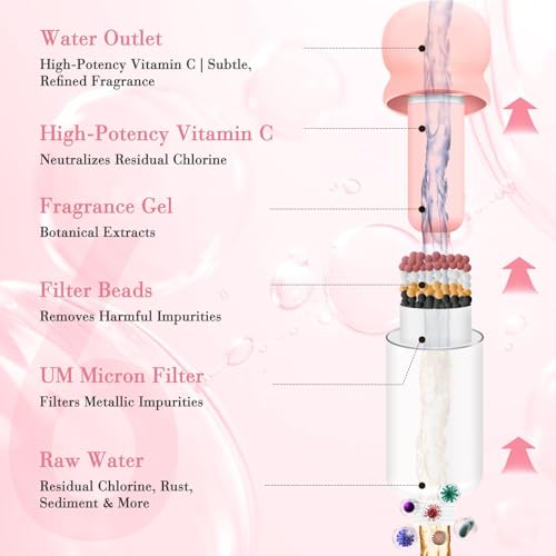 Vitamin C & Aromatherapy Skincare Spa Shower Head with Handheld