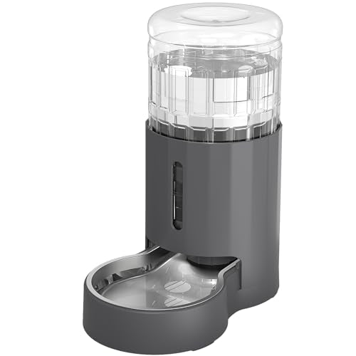 Cat Water Dispenser and Stainless Steel Bowl