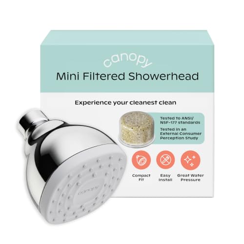 Mini Filtered Shower Head