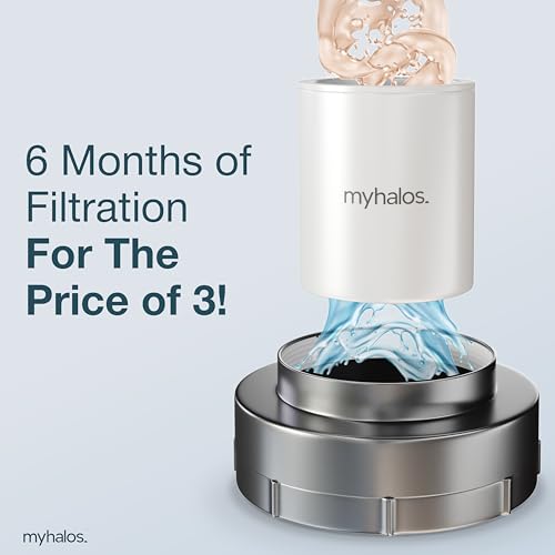 Shower Head Filter Cartridge Replacement (2 Count)