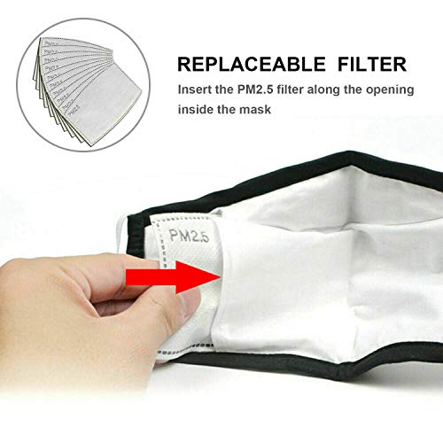 Adult PM2.5 Activated Carbon Filter Insert 5 Layers Replacement Anti Haze Face Filter Paper (20 Count)