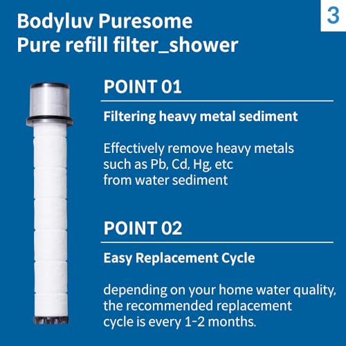 Pure Filter Replacement Cartridge for Shower Head (3 Count)