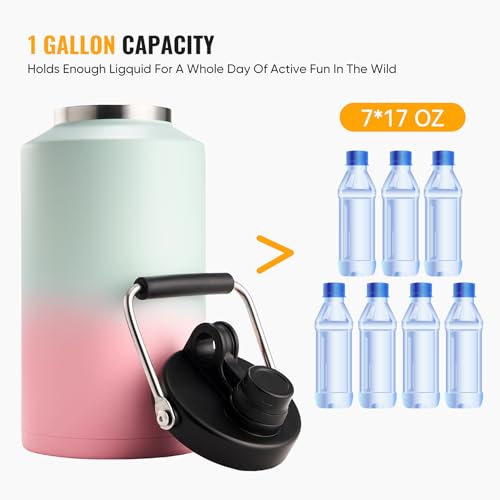 Insulated Gallon Jug with Handle