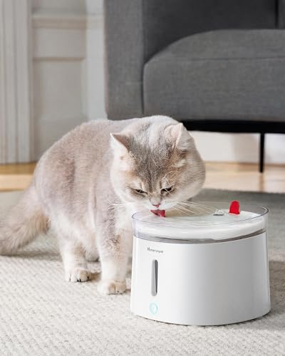 Cat Water Fountain Porcelain