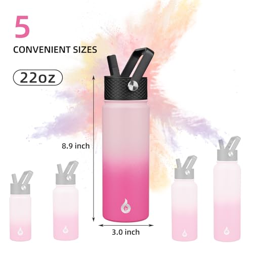 22oz Insulated Water Bottle with Straw Lid