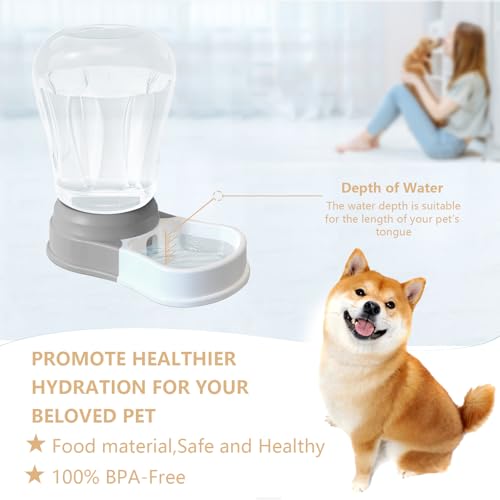 1.6 Gallon Automatic Gravity Dog Water Dispenser