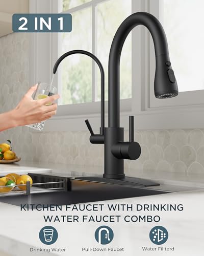 Kitchen Faucets with Purified Water