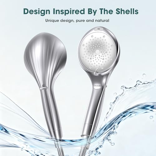 Filtered Shower Head with Handheld