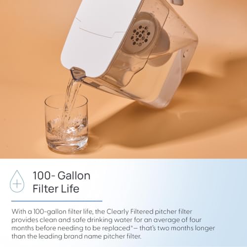 Water Filter Pitcher Replacement (3 Count)