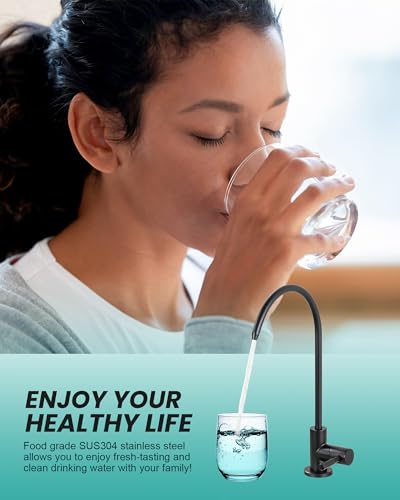 Kitchen Faucet and Water Filter Faucet