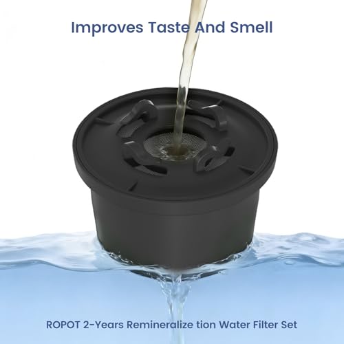 RO100ROPOT Remineralization Water Filters Replacement (2 Count)
