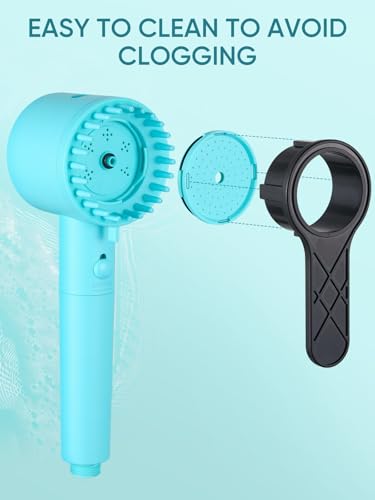 Filtered Shower Head with Handheld