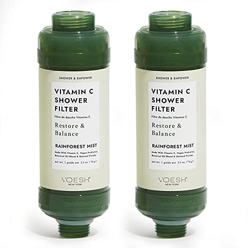 Vitamin C Shower Filter (2 Count)