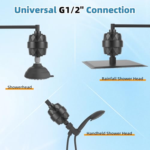 10" Metal Filtered Shower Head with 10