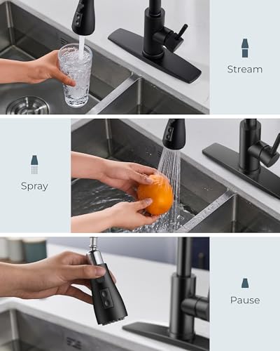 Kitchen Faucet with Pull Down Sprayer