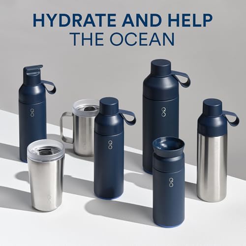 Original 17oz Stainless Steel Water Bottle