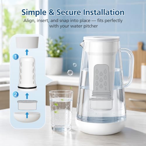Water Pitcher Filter Replacement for LifeStraw Home