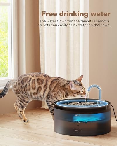 Cat Water Fountain