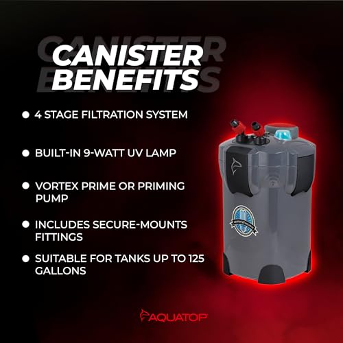 4 Stage Canister Filter with Vortex Prime