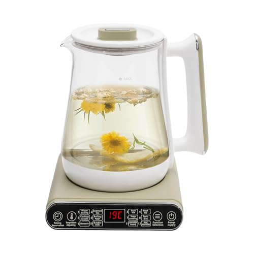 Electric Kettle Tea Maker with Filter & Stew Pot