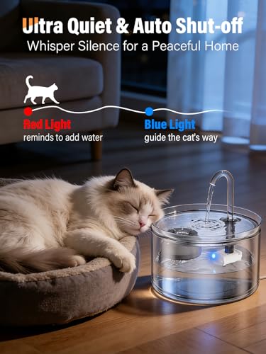 Glass Water Fountain Replacement Pump