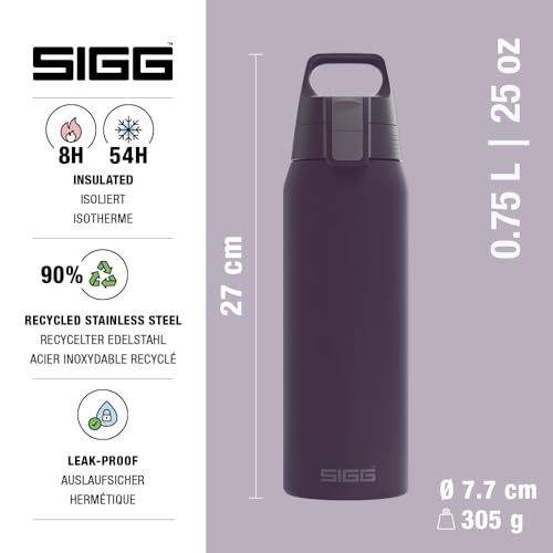 Insulated Water Bottle