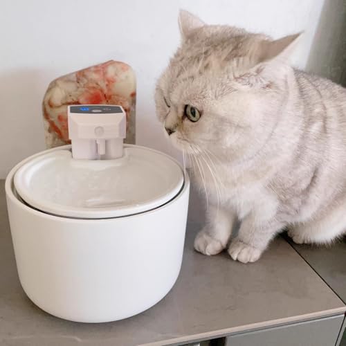 Cordless Ceramic Cat Water Fountain (101.45 Fl Oz)
