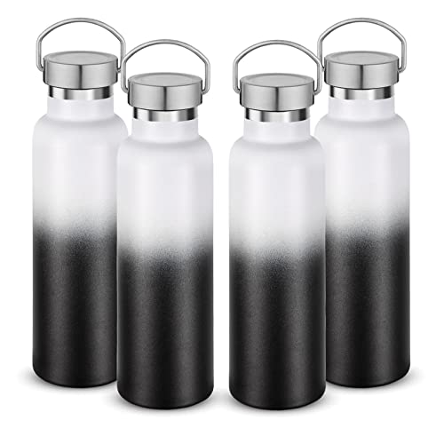 20 oz Insulated Water Bottles Bulk 4 Pack (4 Count)