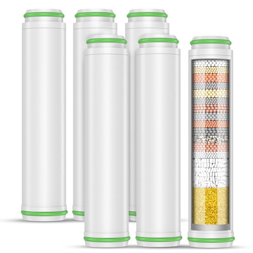 Shower Filter for Handheld Shower Head