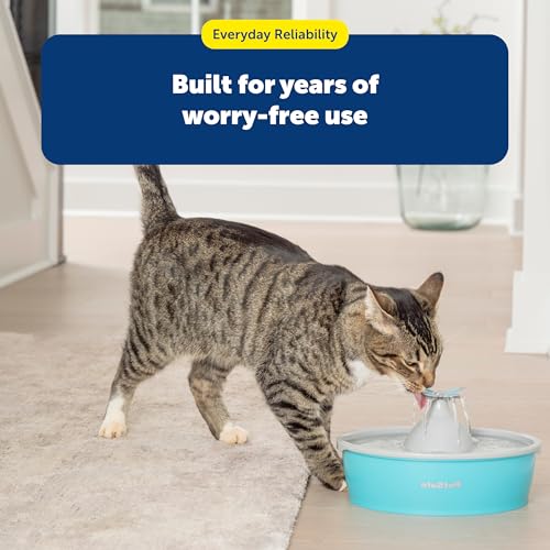 Butterfly Cat Water Fountain