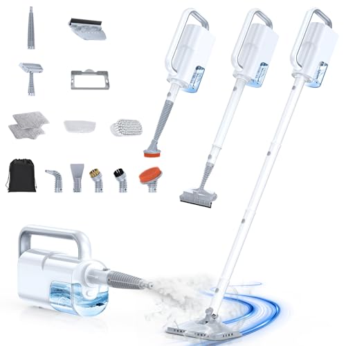 Steam Cleaner