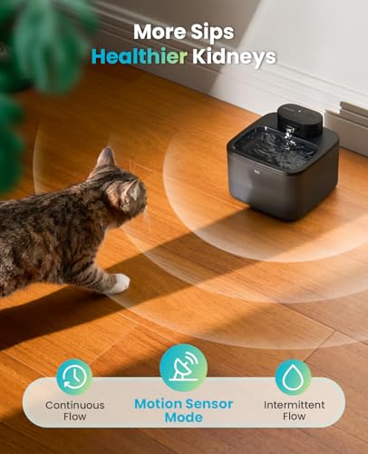 2.2L 74oz Wireless Cat Water Fountain