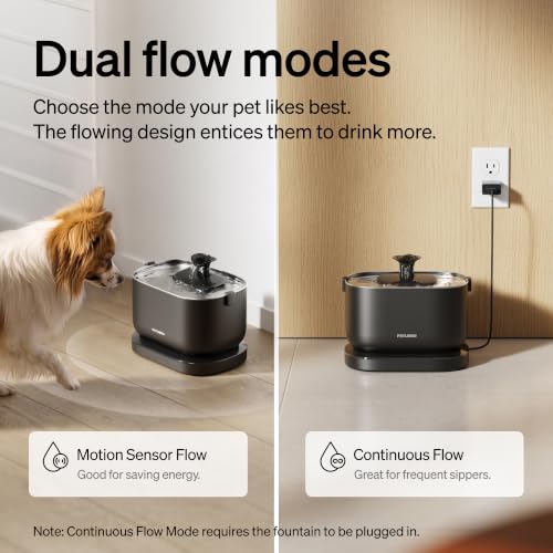 Small Dog Water Fountain