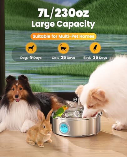 7L 230oz Pet Water Fountain